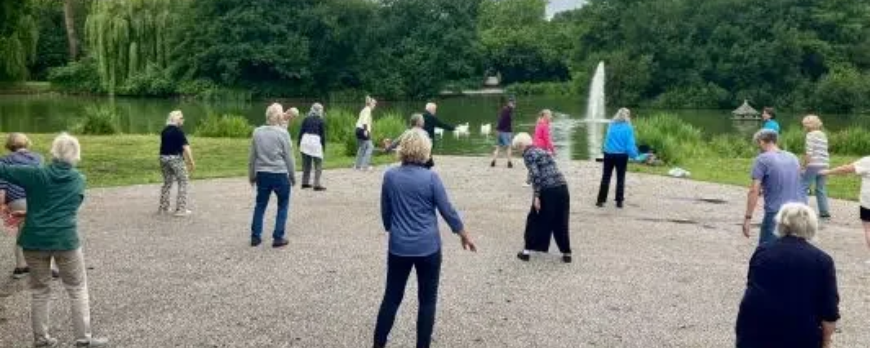Tai Chi/Qigong lessen in het Boeremapark in Haren
