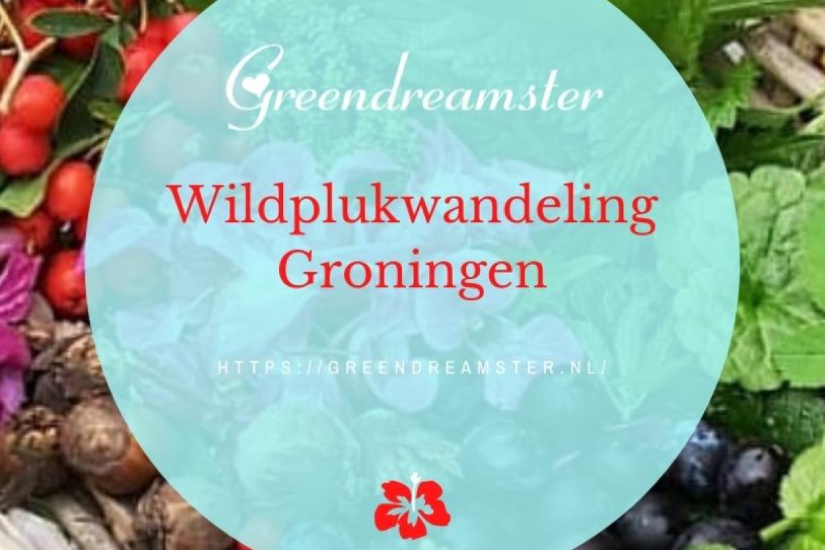 Wildplukwandeling: op zoek naar eetbare planten
